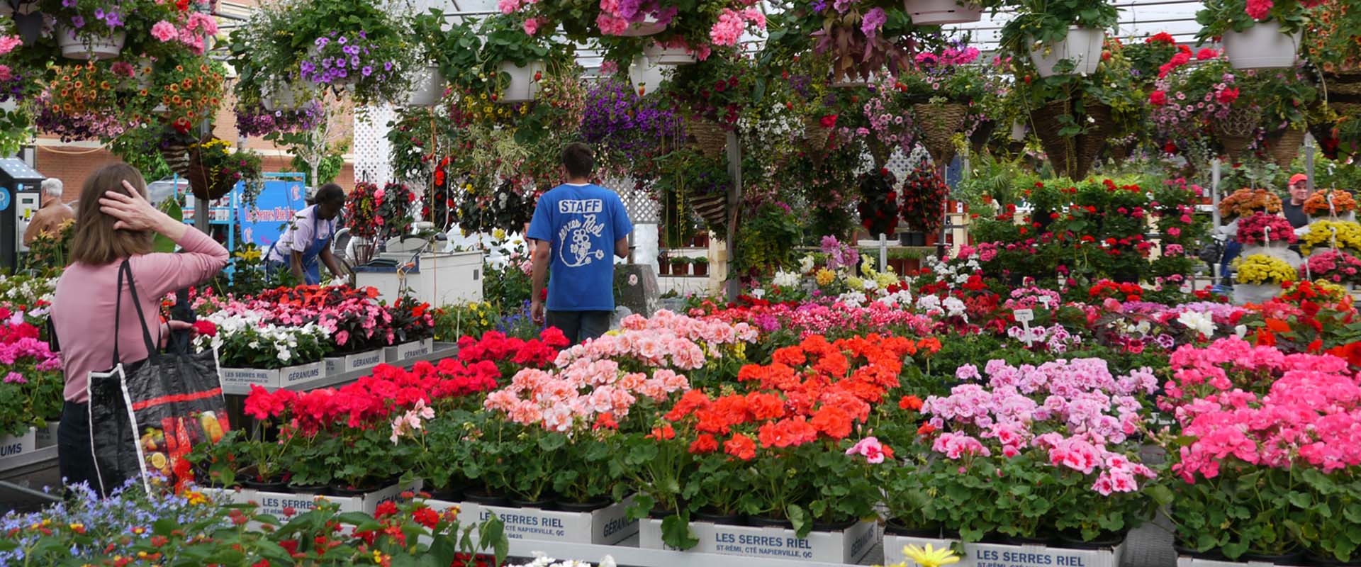 Marché Atwater Serres Riel