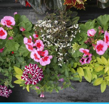 Produits Serres Riel